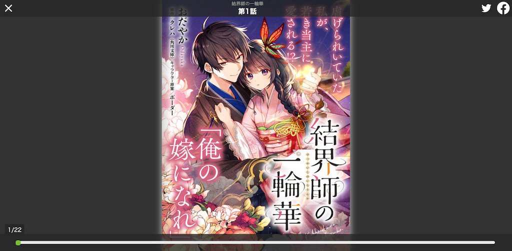 Macbook Firefox のビューア